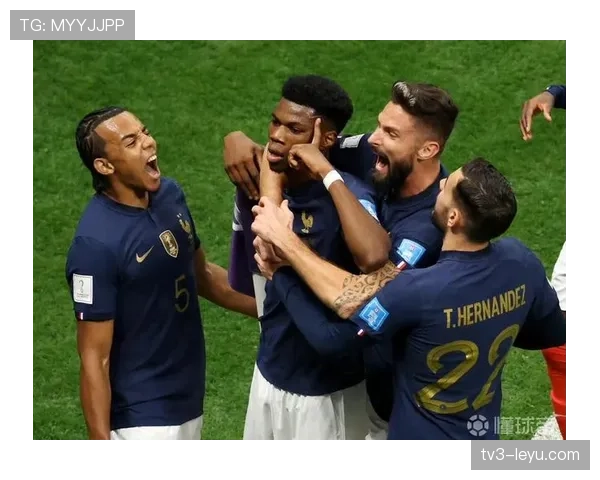 楚阿梅尼职业生涯进球目标解析